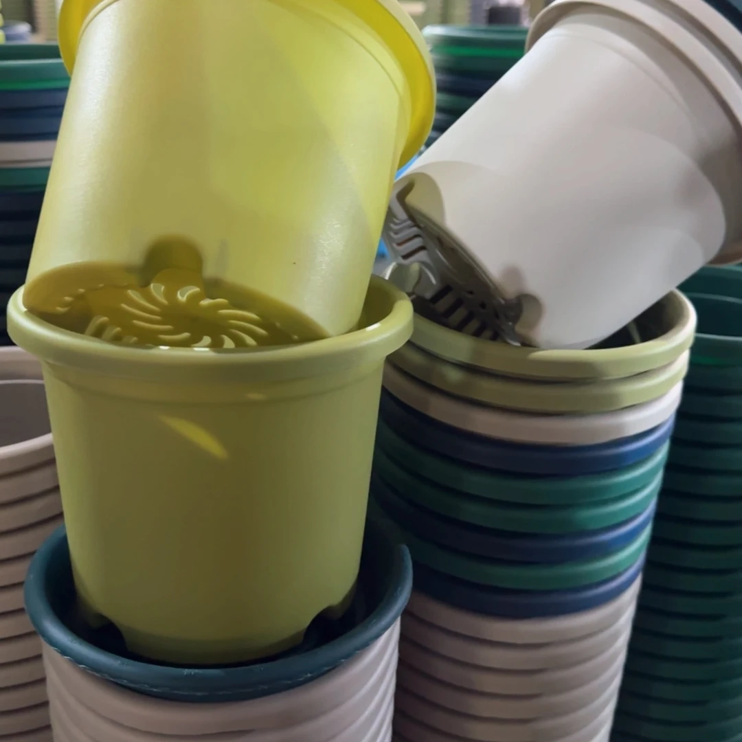 树脂特价2#无拖果绿13个