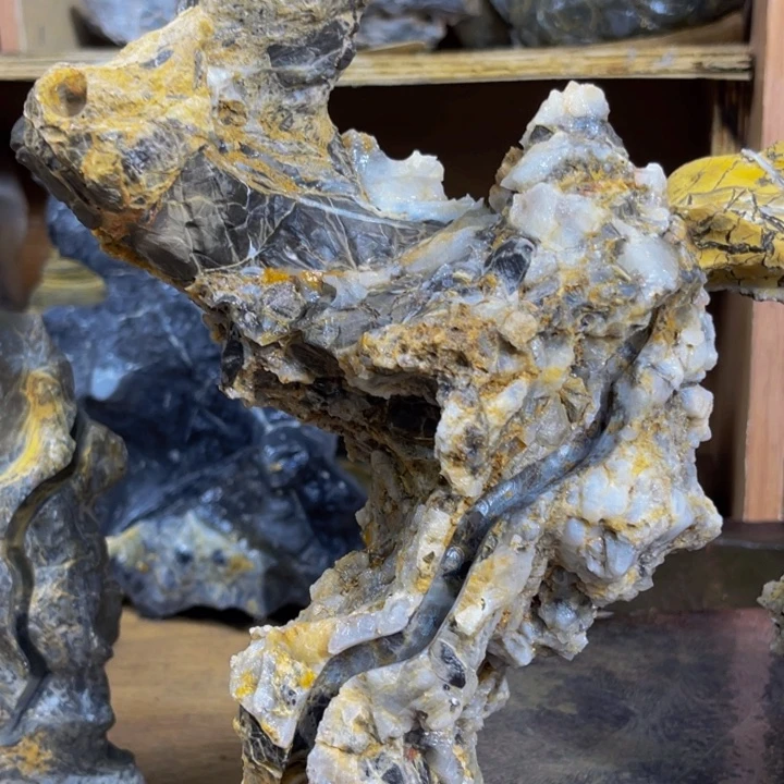 金***征附石盆景一物一拍