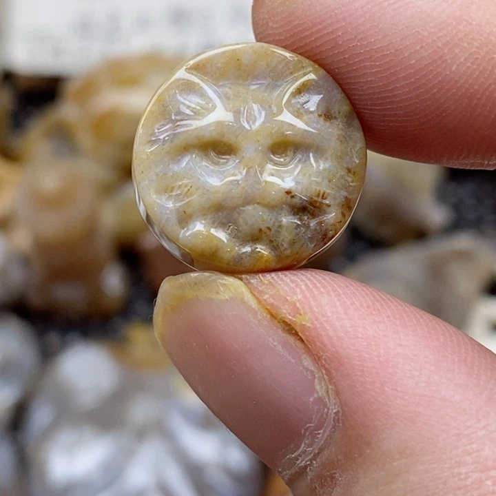 颈饰未镶嵌硅化珊瑚（珊瑚玉）小