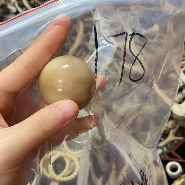 ****无非金属鹿角鹿角