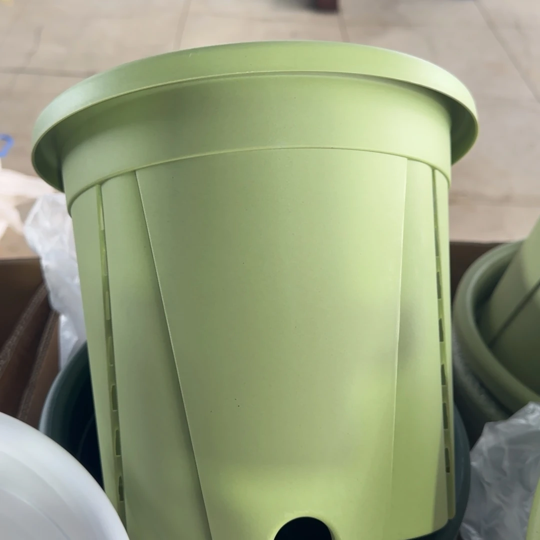 塑料青山控根4号果绿6个无托