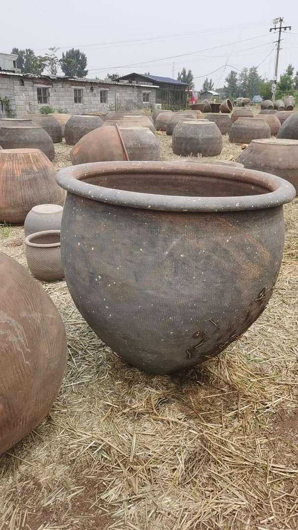 老式水缸古法养鱼（直播间一物一拍）