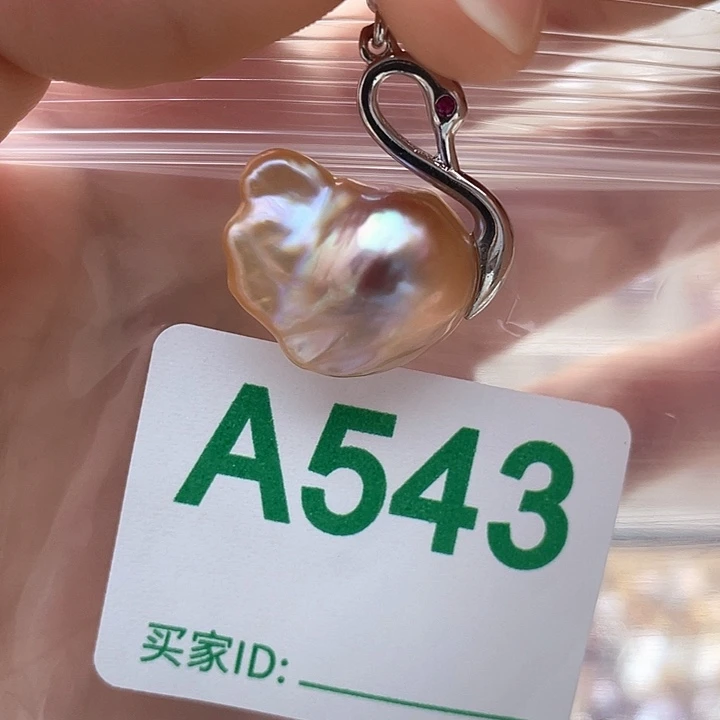 天然珍珠。  漏 漏 漏淡水珍珠未镶嵌