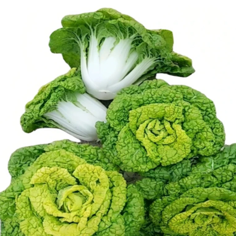 上海本地新鲜黄心菜【现采现发3/斤5斤装】【好东西】