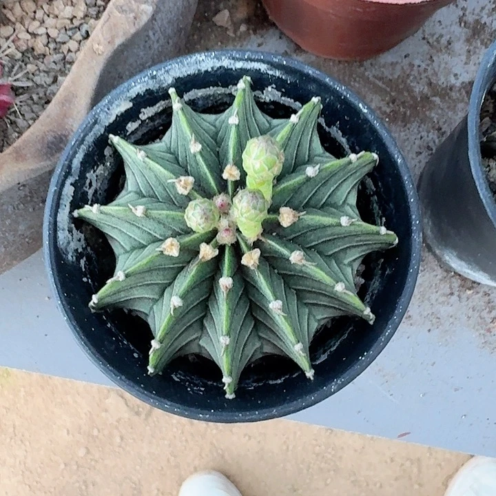 禅***定哈哈哈哈哈哈哈哈哈哈