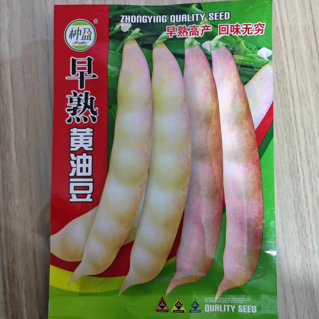 种盈早熟黄油豆豆角种子