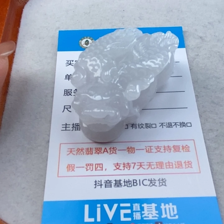 翡翠未镶嵌颈饰多人飞天貔貅