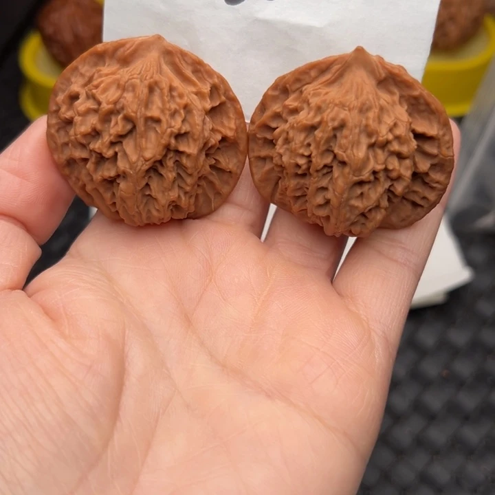 核桃44尺寸老款盘龙纹