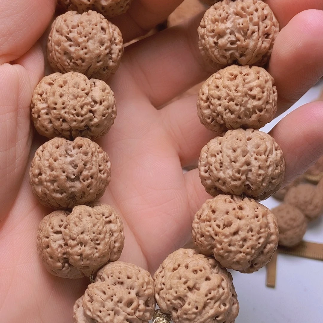 菩***提金刚菩提吊坠5瓣24飓肉蜂王