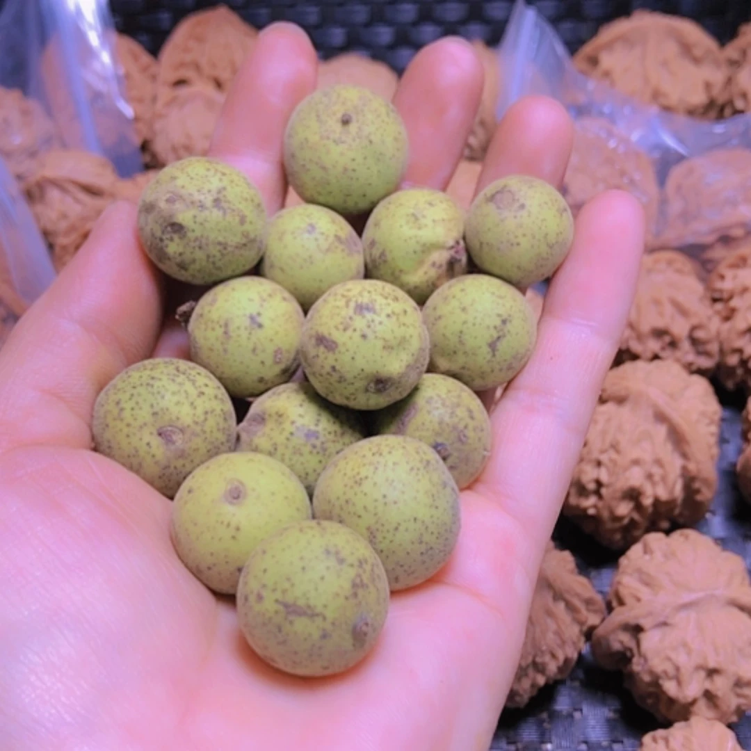 【闪购商品】核桃手串/手链猴头青皮不退不换