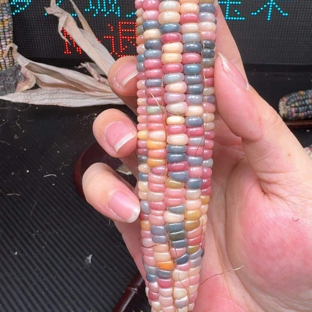柏香籽/百香籽吊坠夕*