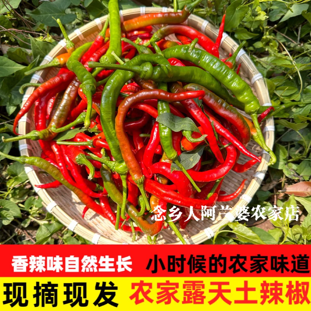 新鲜辣椒江西农家现摘特辣薄皮湖南青椒超辣尖椒虎皮微辣