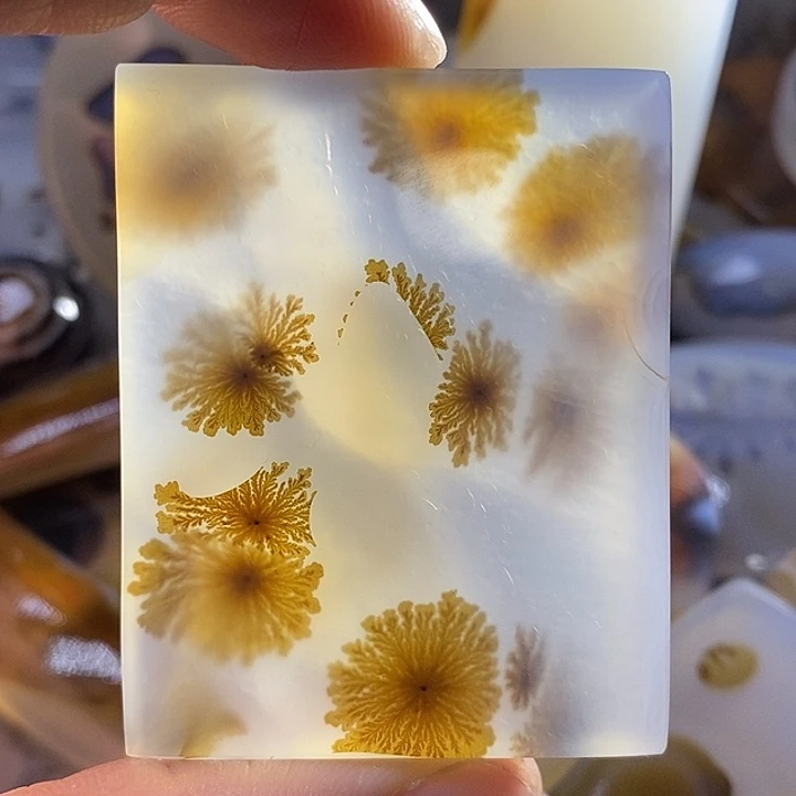 未镶嵌颈饰玛瑙/玉髓