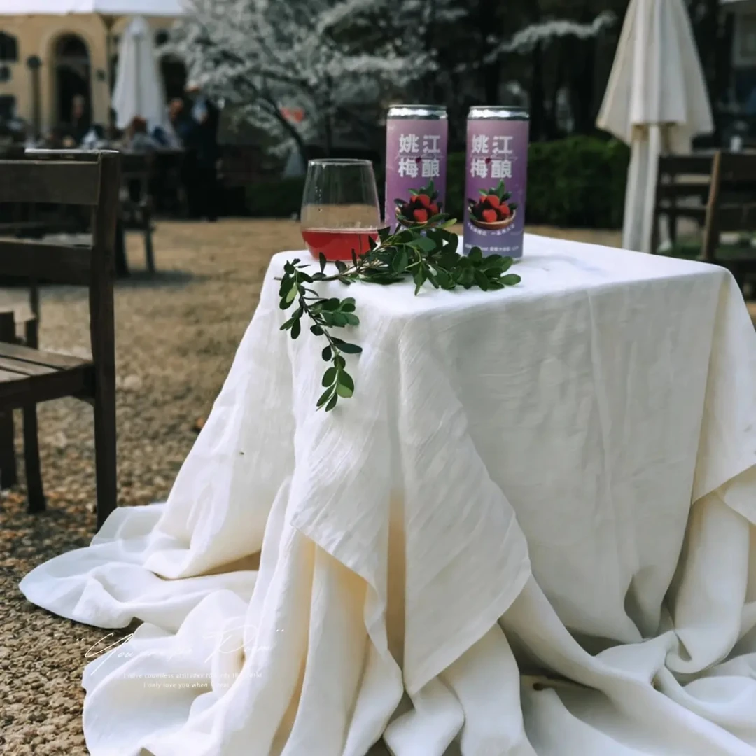 姚江梅酿杨梅精酿啤酒甜口型东方佐餐酒特色伴手礼24罐