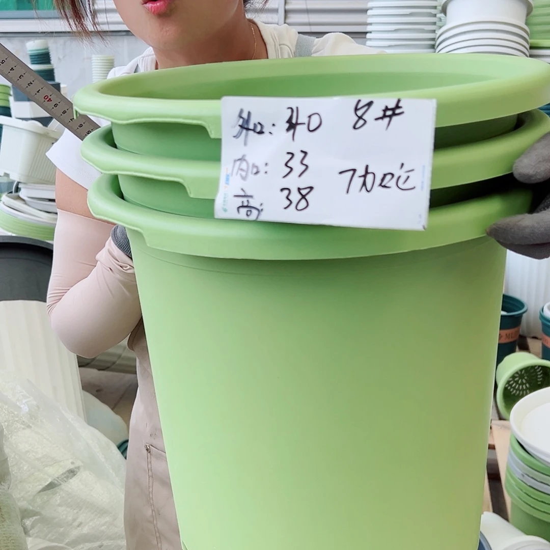 瑕疵四季盆8#果绿色3个无托