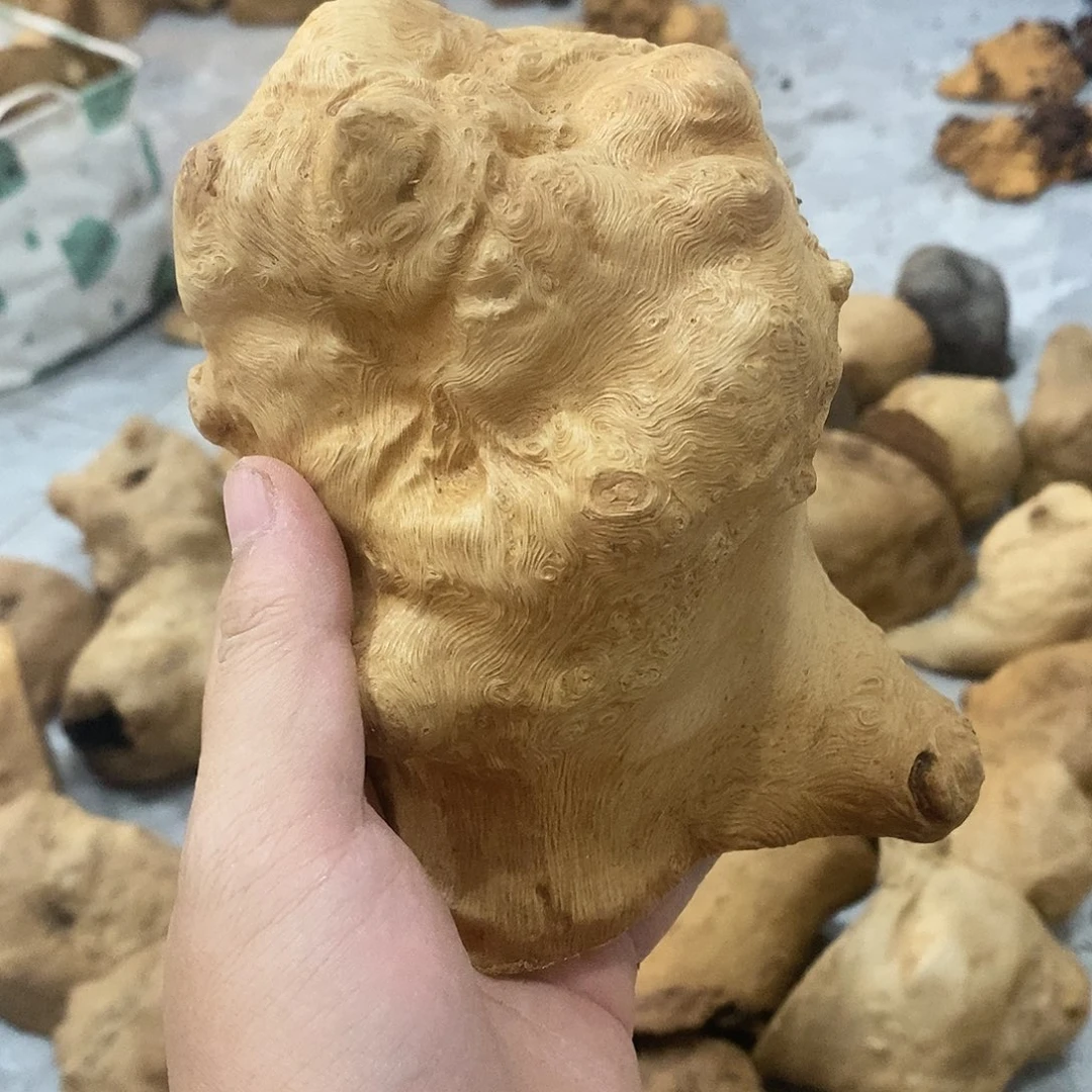 3***治荔枝木荔枝木原料