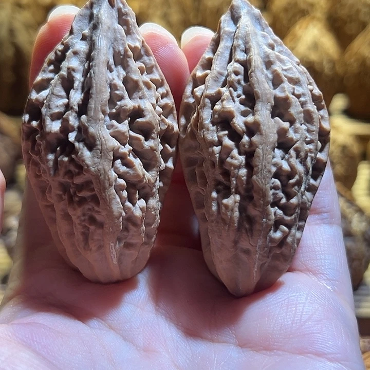 文玩核桃吊坠龙骨柳叶