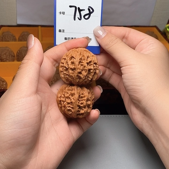 吊坠龙脊菩提苹果园 39