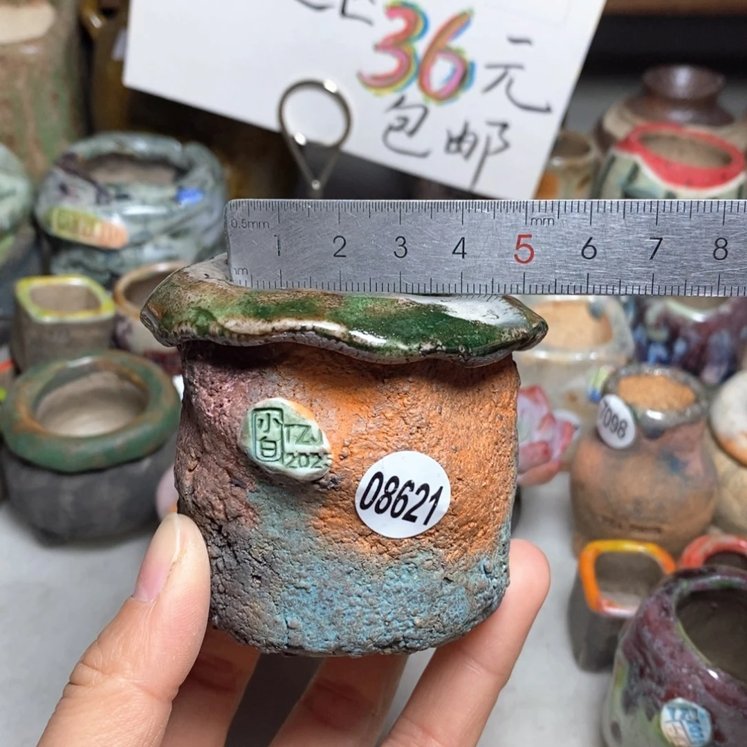 花盆拍1送一个小礼物