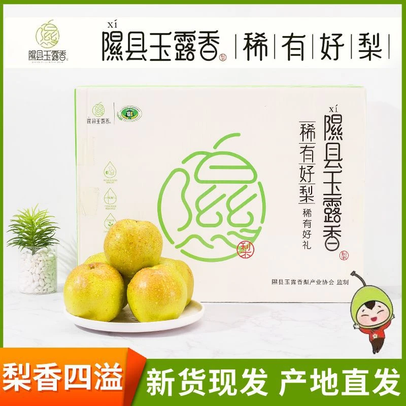 【隰县玉露香梨】临汾隰县高原生态健康水果香甜可口