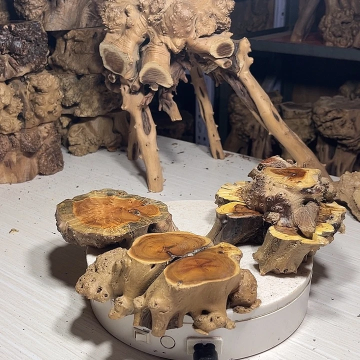 香榧木呜呜呜呜呜呜呜呜我