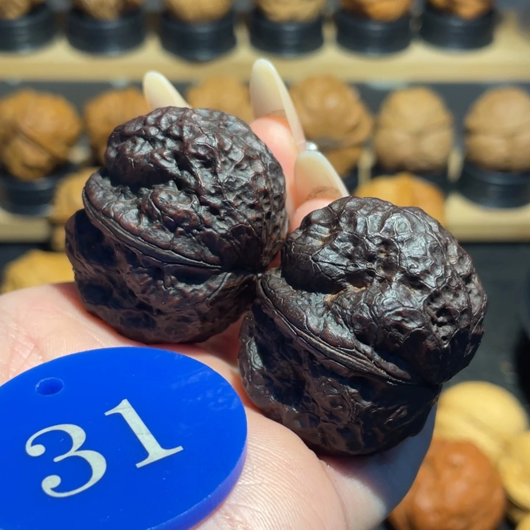地闷元宝肌肉蛙核桃36