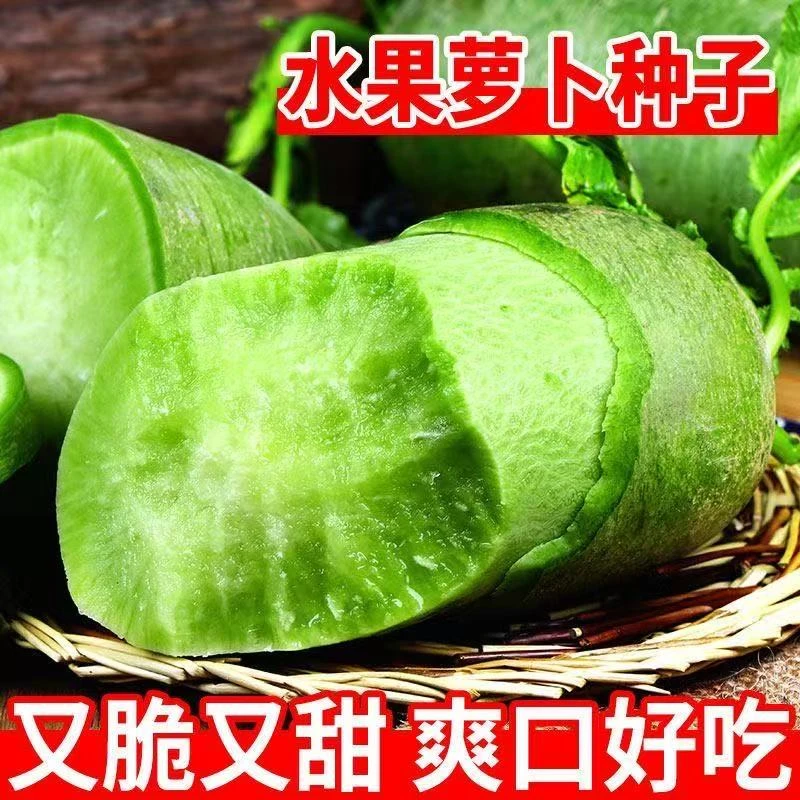 冰糖脆水果萝卜种子生吃脆甜农家蔬菜四季播种阳盆栽绿萝卜lz