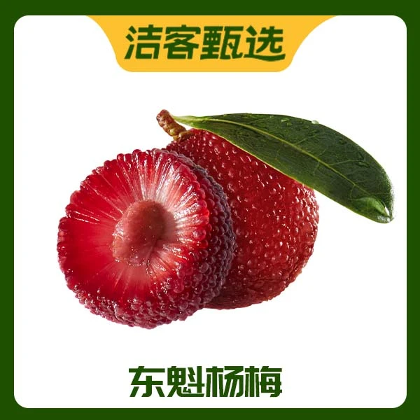 【洁客甄选】云南东魁杨梅（纯甜）1斤杨梅同城送