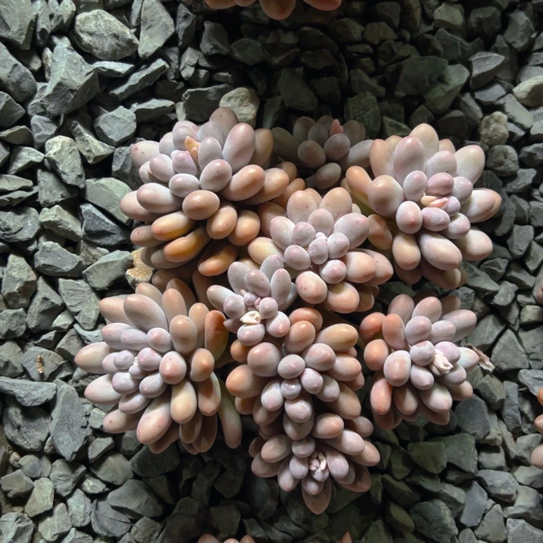 陈陈11111111111111111