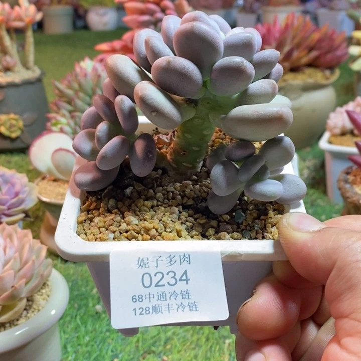 0234啊啊啊啊啊啊啊啊啊