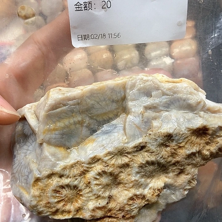 硅化珊瑚（珊瑚玉）手镯未镶嵌乌****子66
