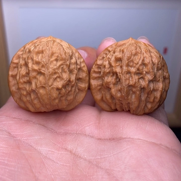 核桃京公子小手捻