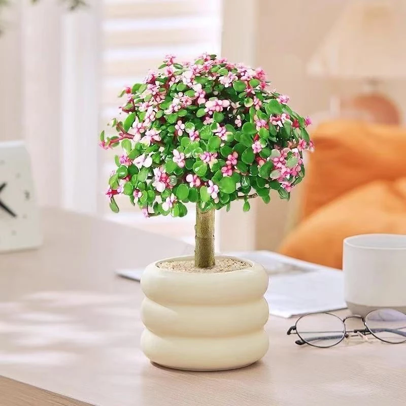 金枝玉叶盆栽老桩多肉植物造型盆景室内绿植花卉