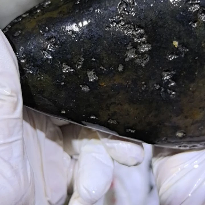 咖***啡木藏玉药王石原石手把件