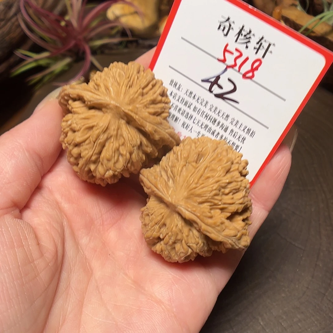 文玩核桃吊坠楼子福利5318