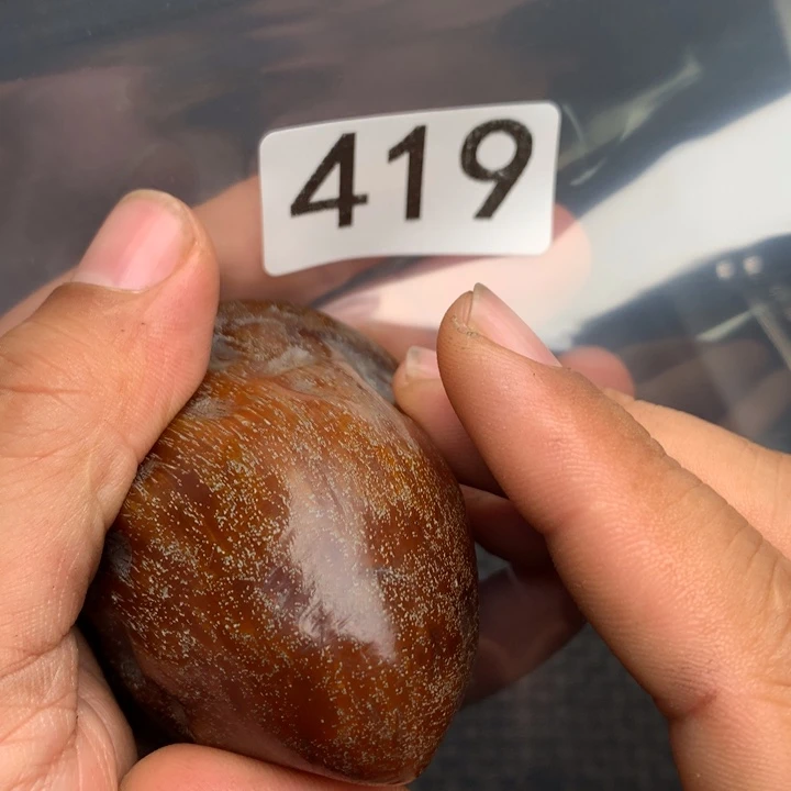 大果紫檀（缅甸花梨）