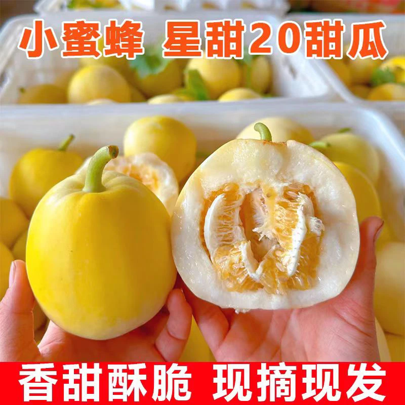 顺丰包邮  沂蒙山头茬小蜜蜂星甜20甜瓜 蜜罐香瓜 脆嫩绵密特别香