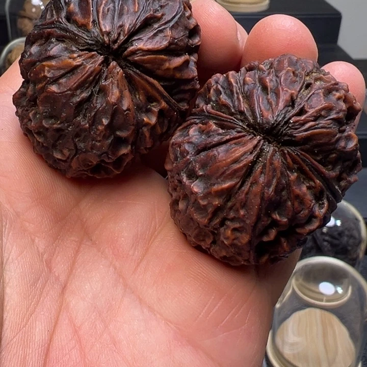 文玩核桃把件聚宝金蟾43mm