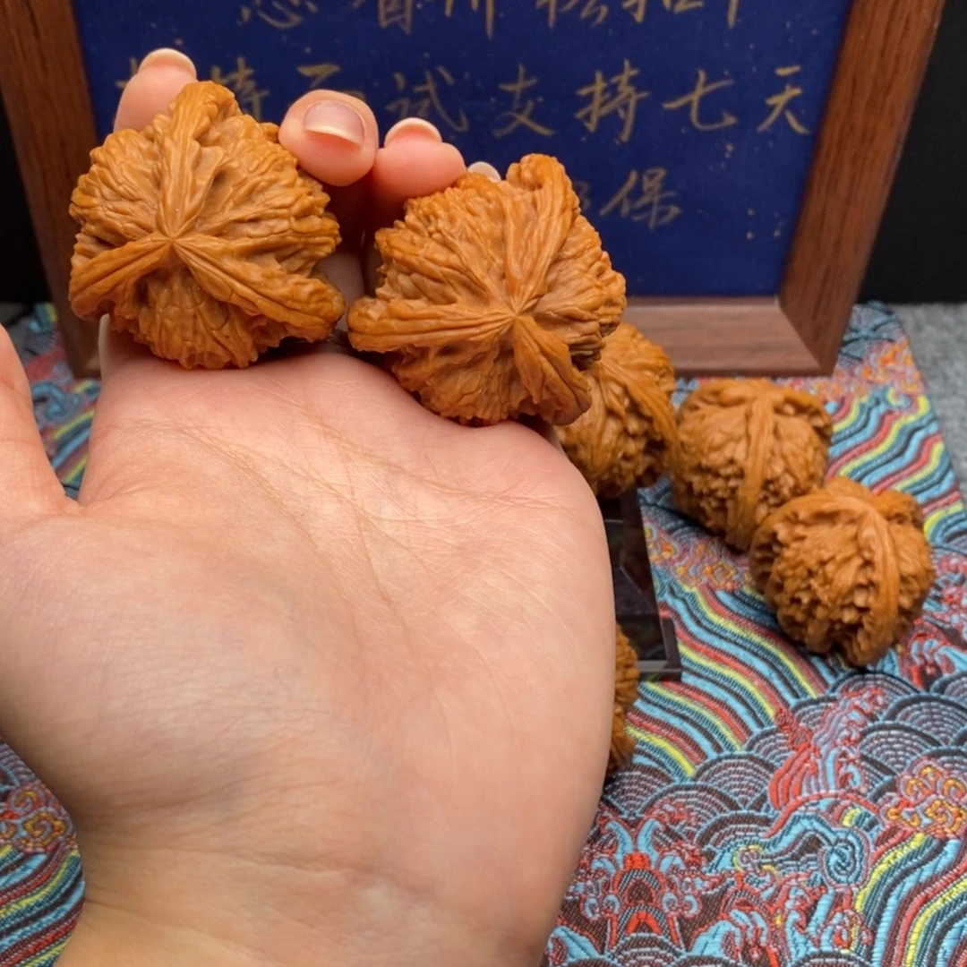 【闪购商品】▝****▖白狮