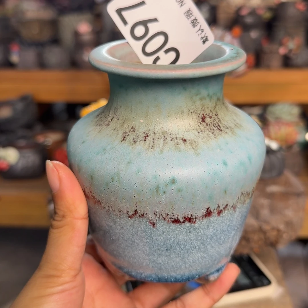 重庆小燕子欢迎大家097