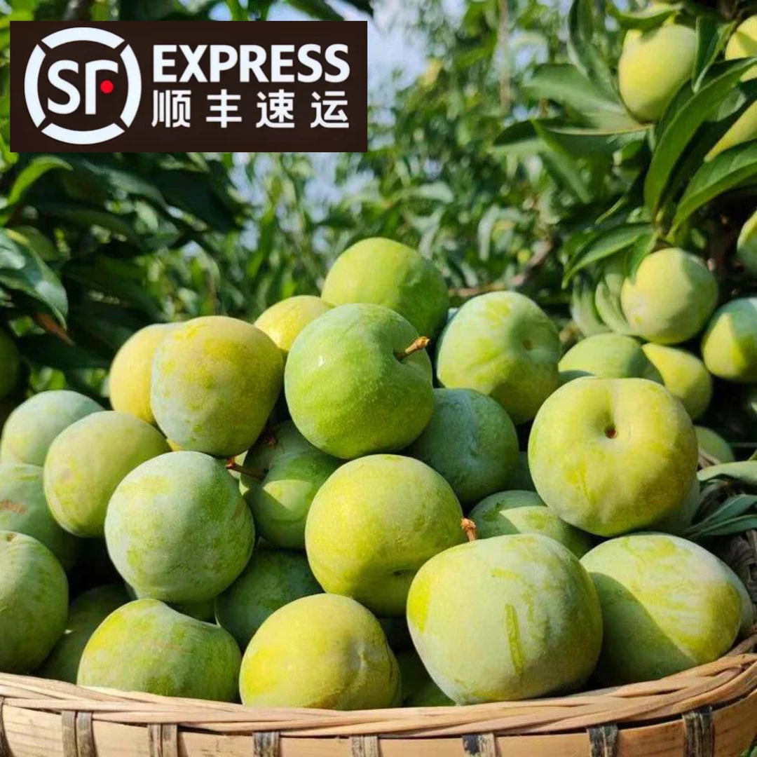 四川脱骨李新鲜水果顺丰包邮