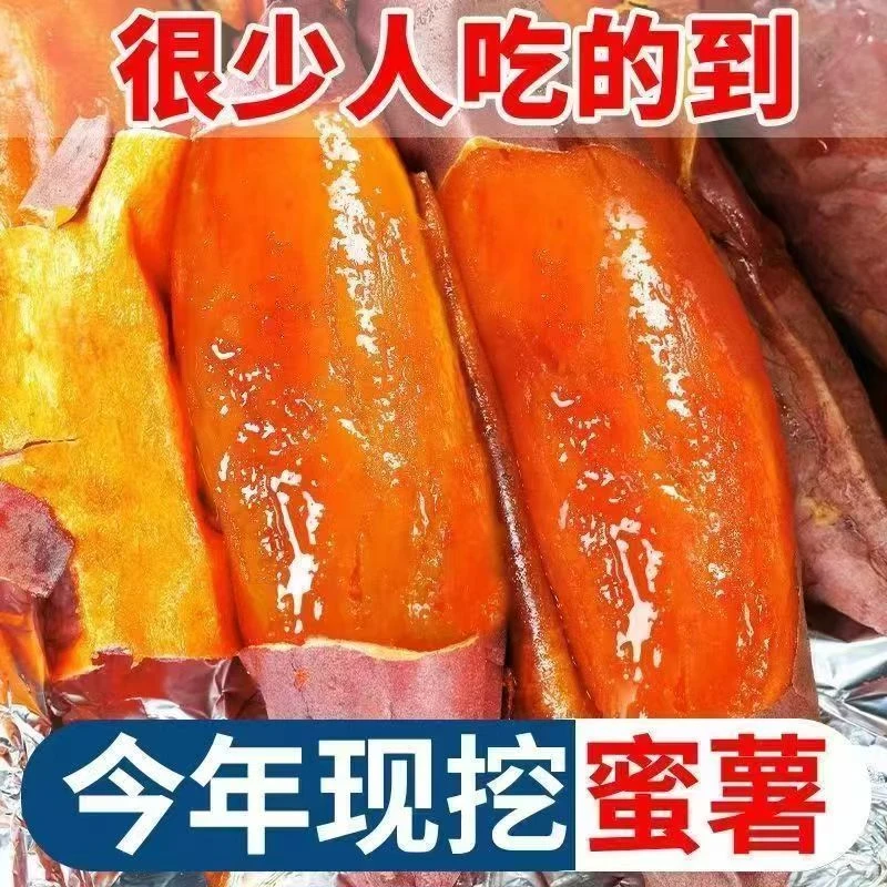 正宗糖心流油蜜薯新鲜现挖沙地红薯软糯香甜烤地瓜机器摆摊专用