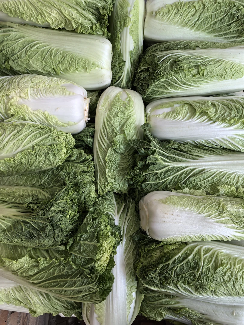 天津-青麻叶大白菜（小核桃纹-开锅烂）-京东送到家