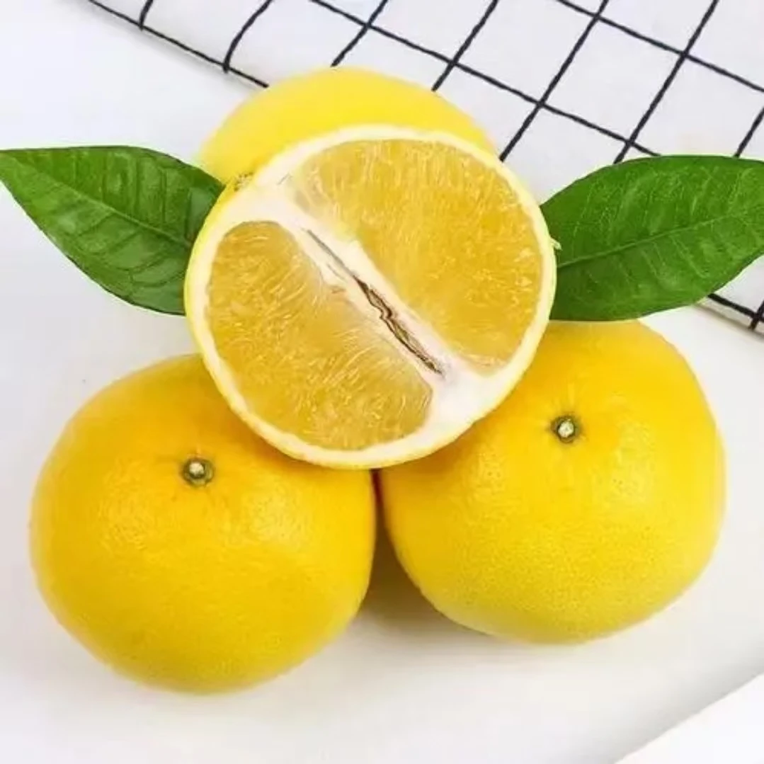 【套餐】葡萄柚5斤+蜜橘1箱