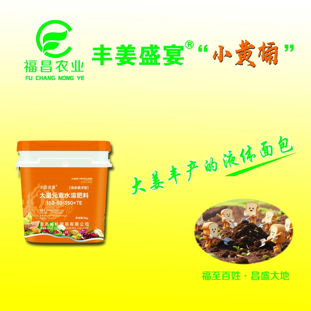 丰姜盛宴小黄桶 高钾悬浮肥 氨基酸大量元素 生姜膨大液体面包