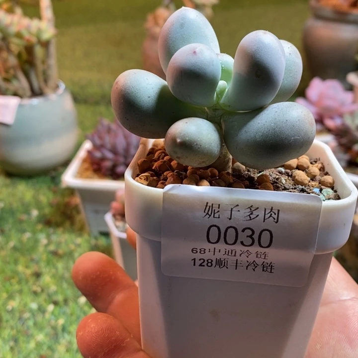 0030啊啊啊啊啊啊啊啊啊啊