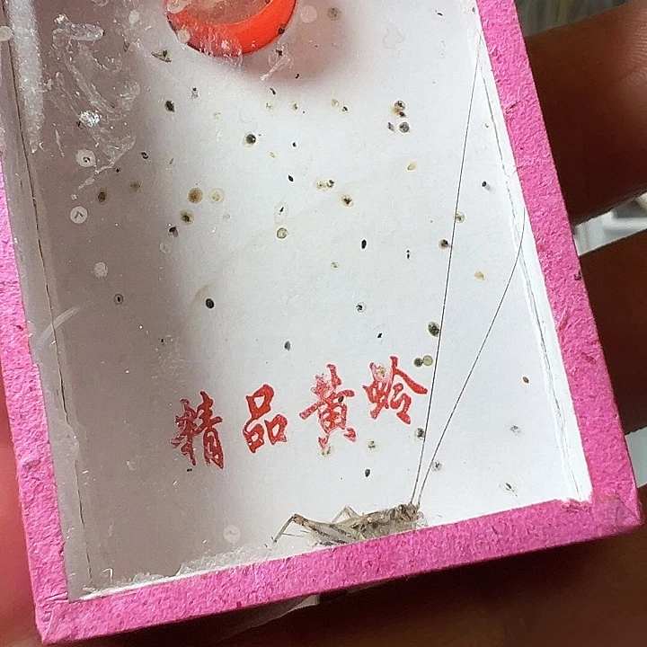 陪***落哈哈哈哈哈哈哈哈哈