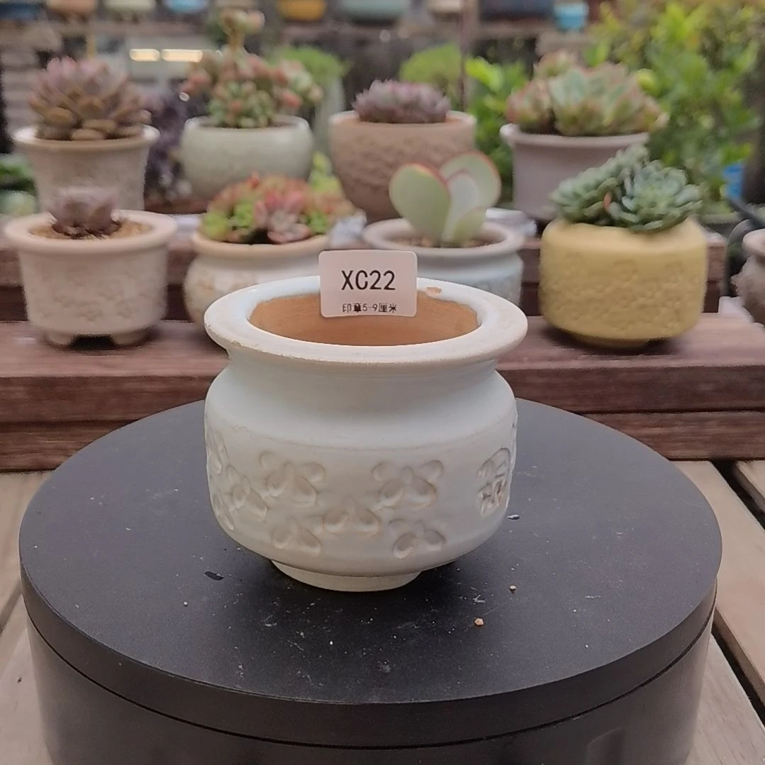 ****️印章多肉花盆XC22