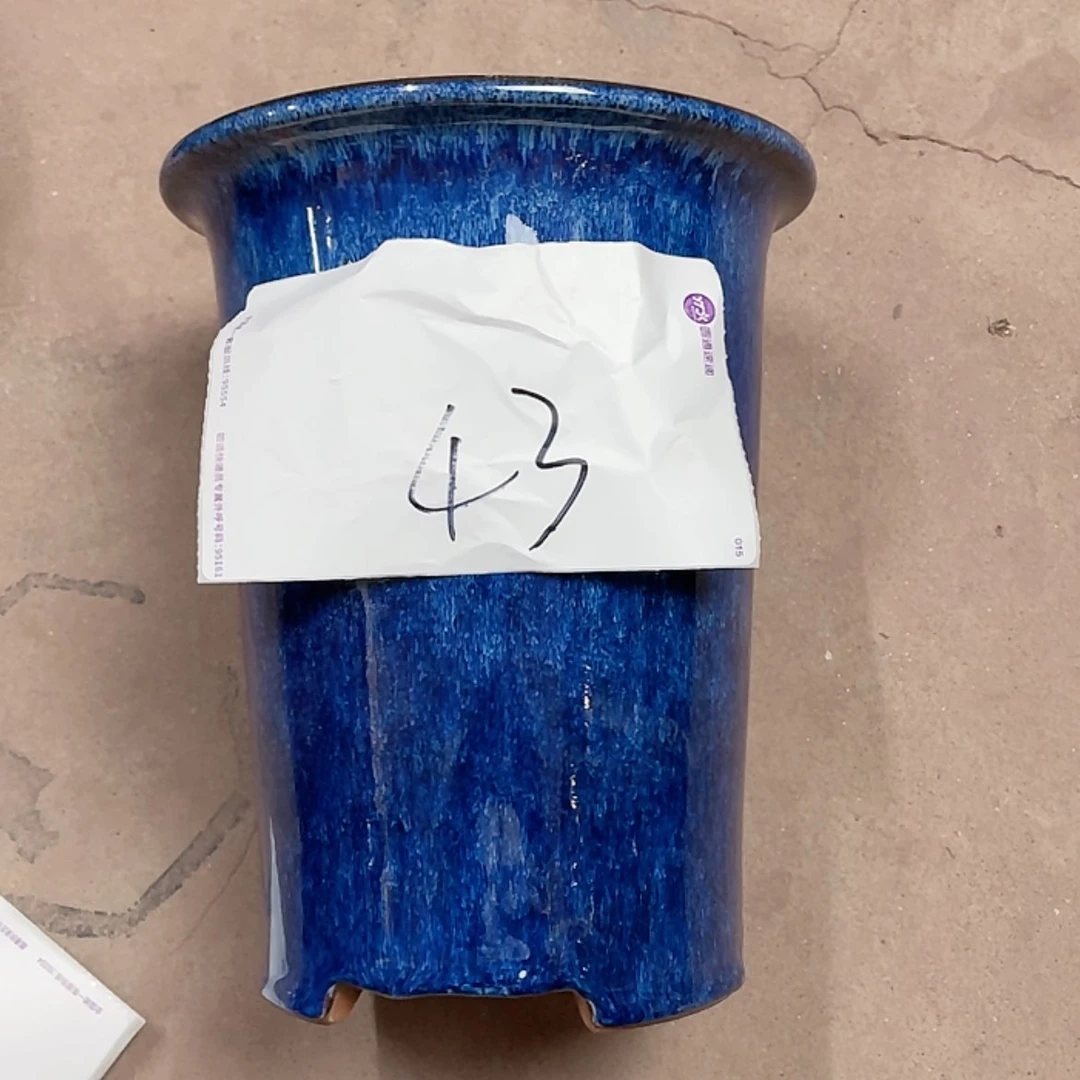 【闪购商品】紫砂花盆兰花856955885685558