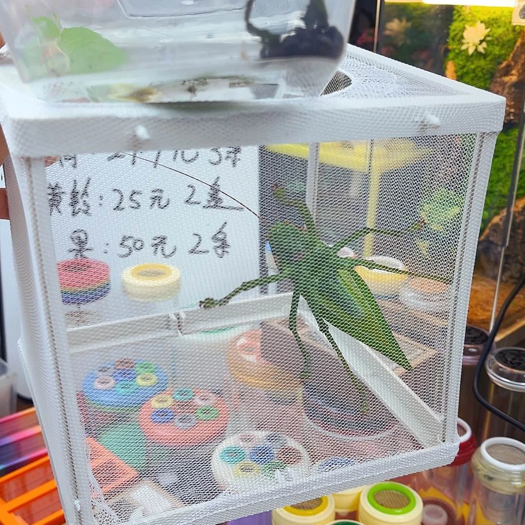 180生态➕巨拟冠脉电报